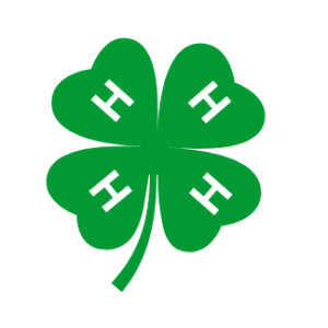4-H Extension Case Study