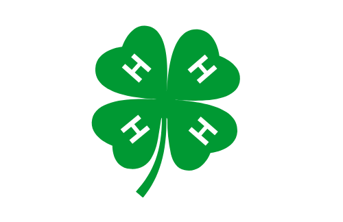4-H Extension Case Study