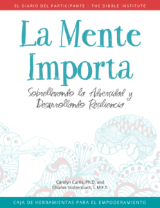 MM Spanish journal cover