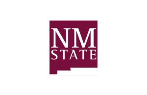 NM state logo